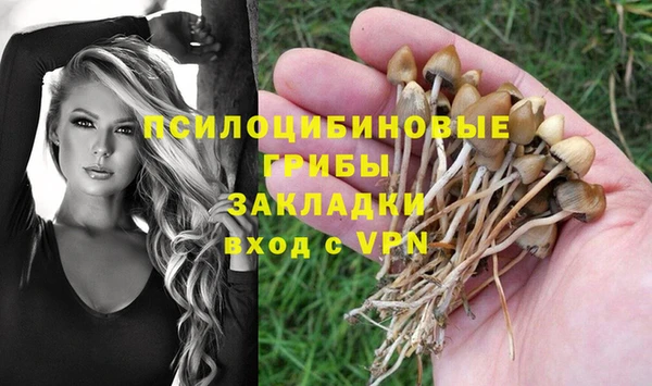 дживик Алексеевка