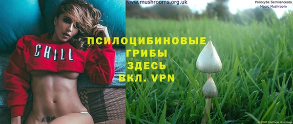 прущие грибы Алексин