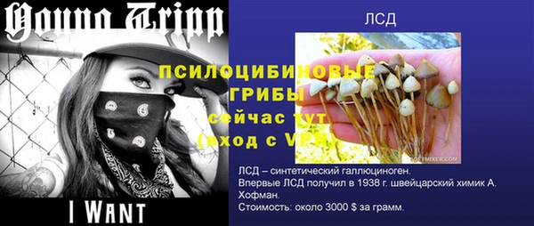 прущие грибы Алексин