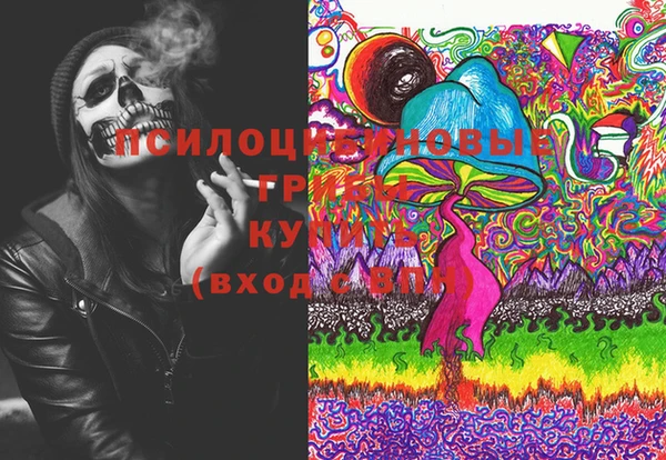 дживик Алексеевка