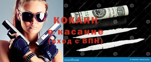 прущие грибы Алексин