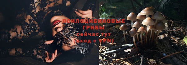 прущие грибы Алексин