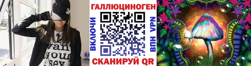 маркетплейс какой сайт  Гдов  Галлюциногенные грибы мицелий 